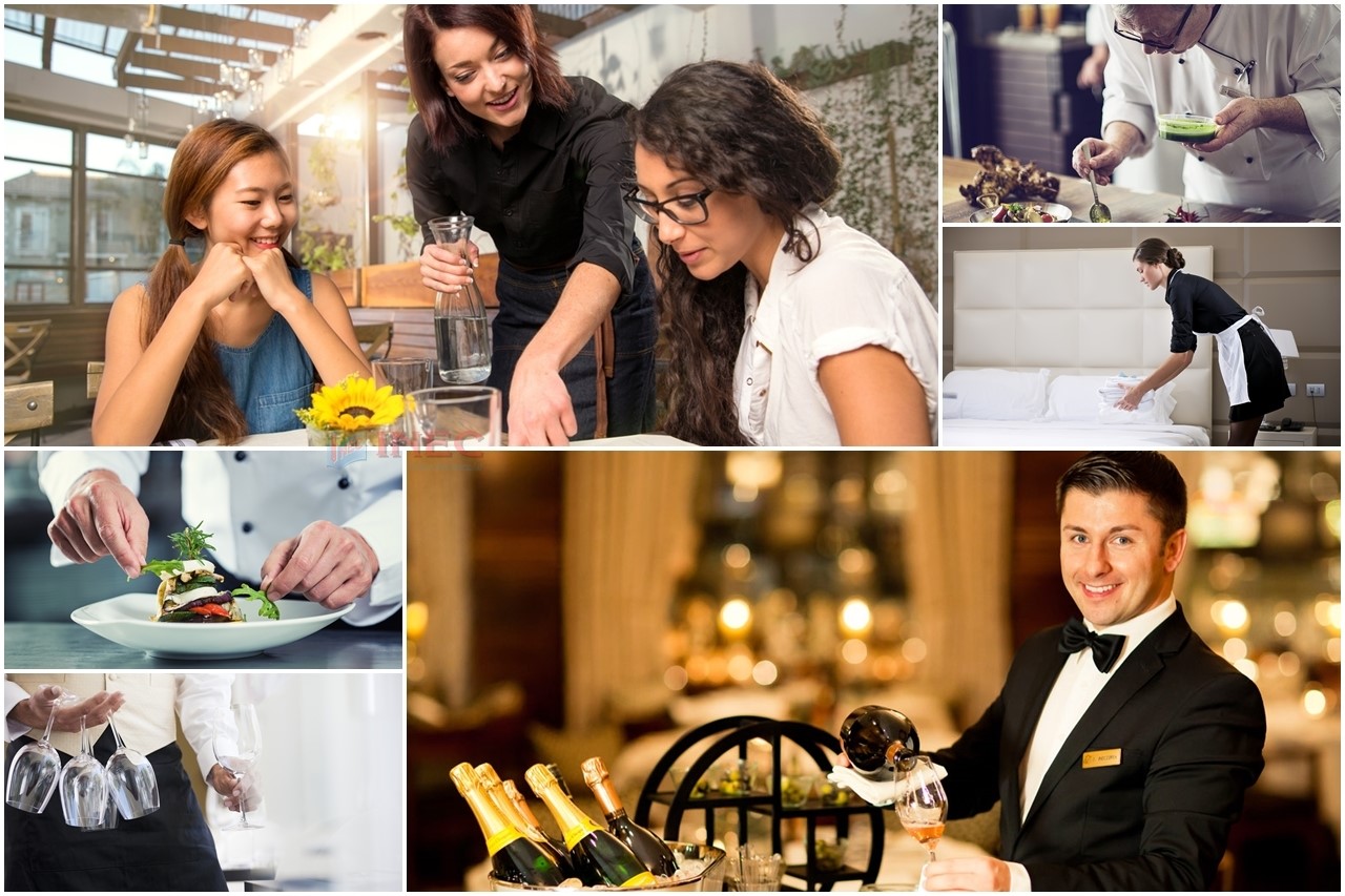 Nên chọn học ngành gì khi du học Canada năm 2022 - Ảnh 2