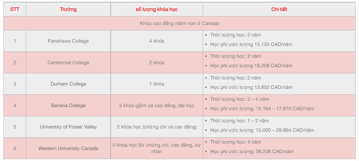Tại sao nên du học Canada ngành giáo dục mầm non? - Ảnh 4