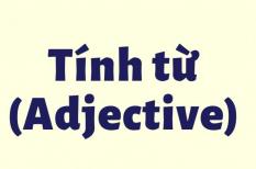 Ngữ pháp tiếng Anh: Tính từ + động từ nguyên thể/mệnh đề that/giới từ