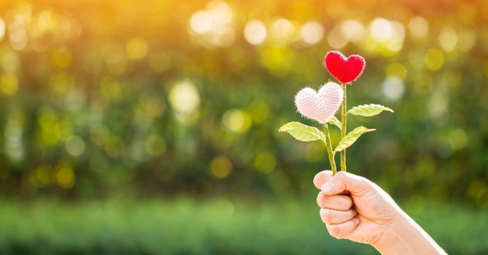 Lợi ích của việc thường xuyên nói lời yêu thương con - Ảnh 3