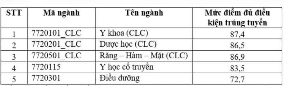 Điểm chuẩn đánh giá năng lực của Khoa Y ĐH Quốc gia TP.HCM ngành y khoa 950 - Ảnh 2
