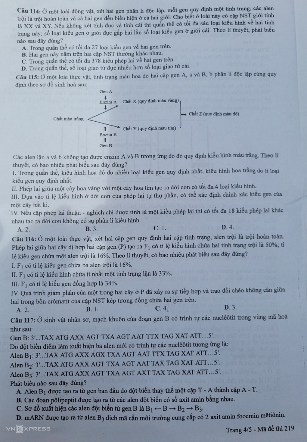 Đề và gợi ý đáp án mã đề 219 môn Sinh - Ảnh 4