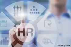 HR Business Partner là gì? Vai trò và năng lực cần có của HRBP