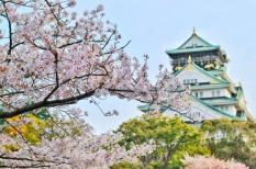 TOP 7 trung tâm dạy tiếng Nhật TPHCM