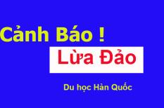 TOP 7 chiêu trò lừa đào khi du học Hàn mà bạn nên biết