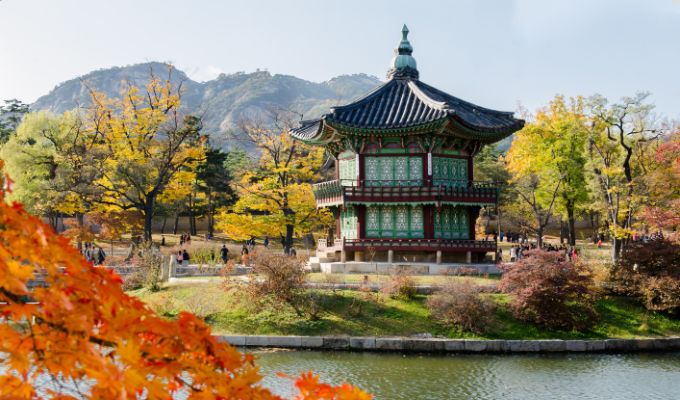 TOP 4 ngành học có tỷ lệ việc làm cao tại Hàn Quốc