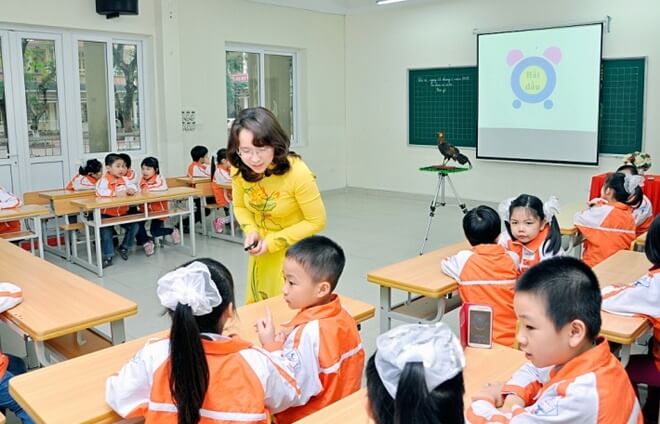 Hơn 25% giáo viên tiểu học chưa đạt chuẩn - Ảnh 1