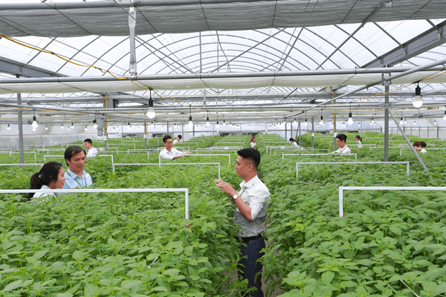 Điểm chuẩn trong các ngành của Học viện Nông nghiệp Việt Nam sẽ tăng năm 2022 - Ảnh 1