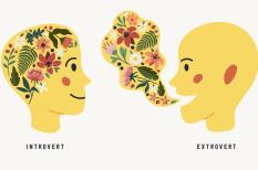 Hướng nội là gì? Làm sao để người hướng nội hòa nhập được môi trường công sở?