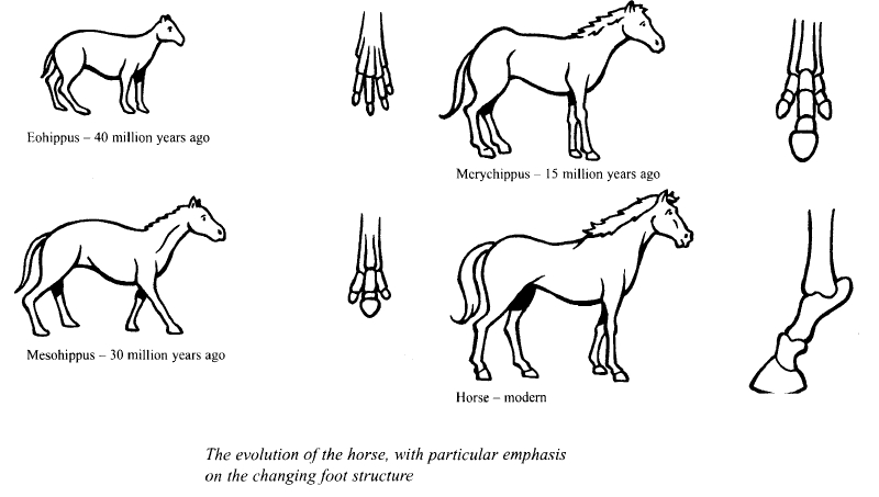 Đề thi IELTS Writing Task 1 trên máy tháng 3/2021 Đề thi IELTS Writing Task 1 trên máy tháng 3/2021