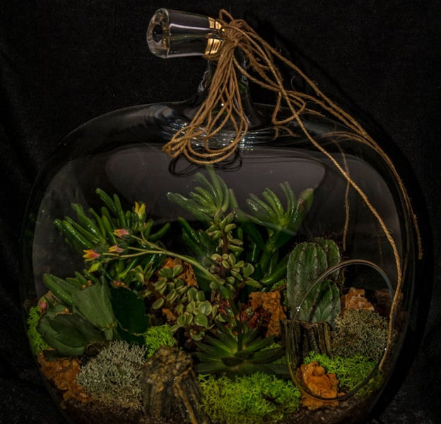 Gợi ý 10 ý tưởng kinh doanh mới lạ, siêu lợi nhuận - Ảnh 1