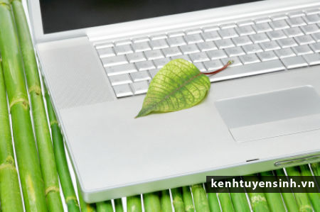 Tuyển sinh Thiết kế Nội Thất - Đồ Họa - Website 23-08