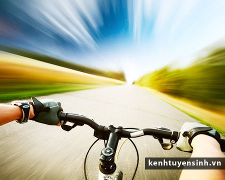 quan tri du lich, vien nghien cuu chau a, khoa hoc ngan han, dao tao du lich chuyen nghiep