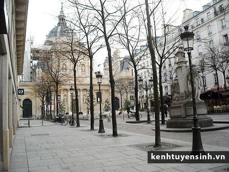 Trường Collège de Sorbonne - Ảnh 2