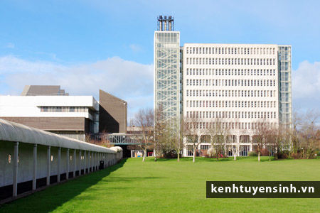 The University of Ulster, dai hoc quoc te, thong tin du hoc my, thu tuc du hoc my, hoc bong du hoc my, sinh vien quoc te, kinh nghiem du hoc my