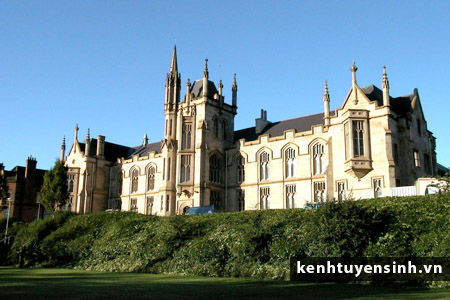 Những lý do và lợi ích cho quyết định du học Mỹ - Ảnh 1