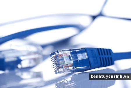 MySQL PHP, Hypertext Preprocessor, khoa tin hoc,  MySQL, lap trinh, chuyen vien mang may tinh, kenhtuyensinh, mang, ky thuat vien