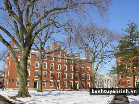 Harvard University winter Harvard University, đai hoc quoc te, thong tin du hoc Harvard, thu tuc lam ho so vao Harvard, kinh nghiem du hoc Harvard, sinh vien Harvard