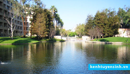 james madison university kenhtuyensinh james madison university, thu tuc du hoc My, dai hoc quoc te, thong tin du hoc my, kinh nghiem du hoc