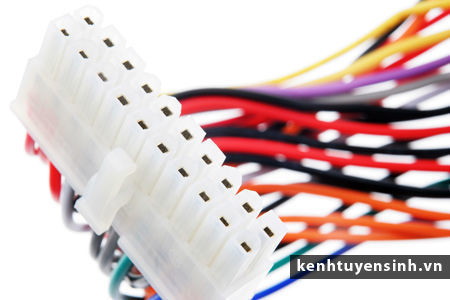 chuyen gia an ninh mang, an ninh mang chuyen sau, khoa dao tao tin hoc