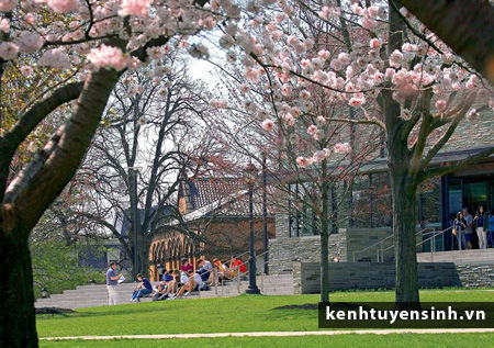 Lafayette College kinh nghiem du hoc my