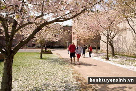 Sacred_Heart_University 1 Sacred_Heart_University, SHU, thong tin du hoc my, thu tuc du hoc my, tuyen sinh du hoc my, dai hoc quoc te, sinh vien quoc te