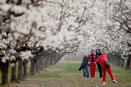 Vấn đề bỏ trốn của tu nghiệp sinh Việt Nam ở Nhật