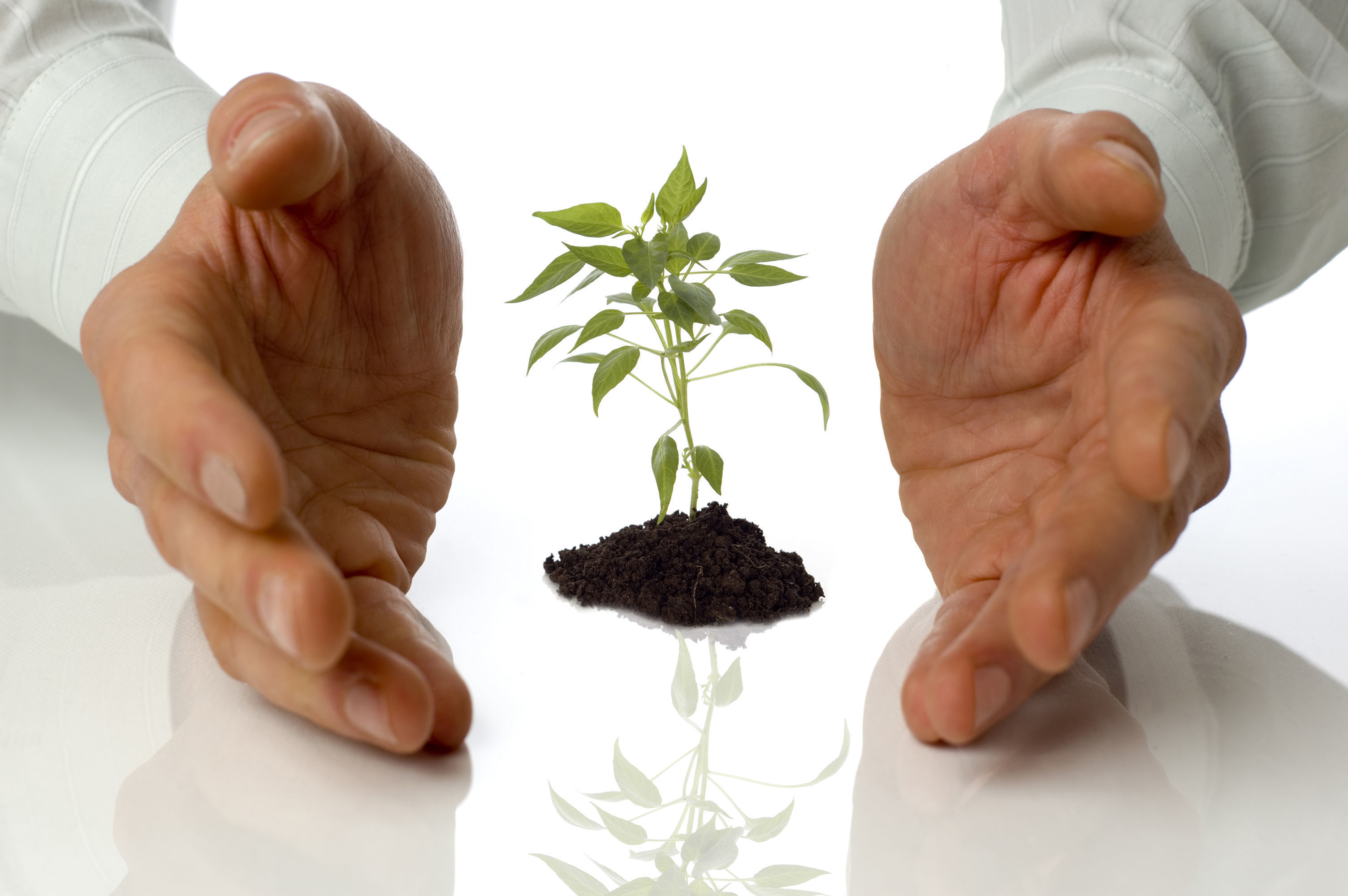 Tại sao nên chọn du học Hàn Quốc?