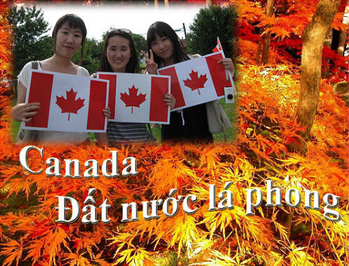 Hội thảo du học Canada ngày 9 tháng 10