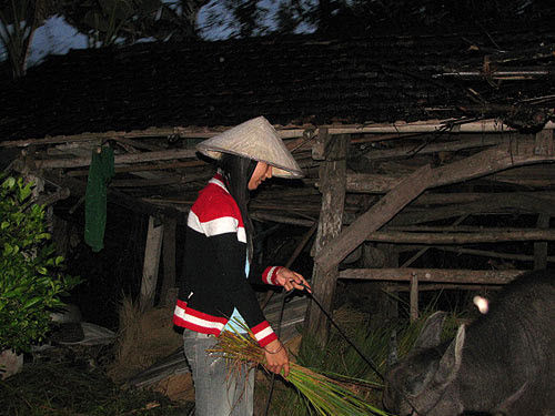 Lãng phí nguồn lực sư Phạm