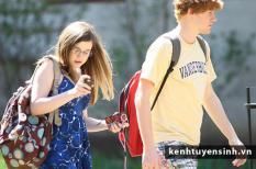 Hội thảo du học Anh ngày 17 tháng 11