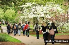 Học bổng du học Mỹ: Trường MacDuffie