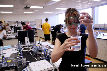 Việc làm, tình nguyện và học tập tại Úc