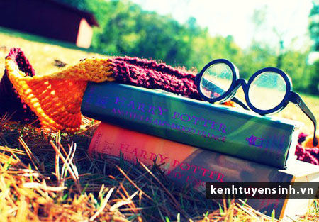 Hội thảo du học ngành hàng hải