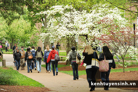 Du học Đức: Học bổng đại học Max Planck Society