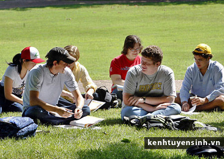 Tỷ lệ sinh viên Úc không có việc làm ở mức cao