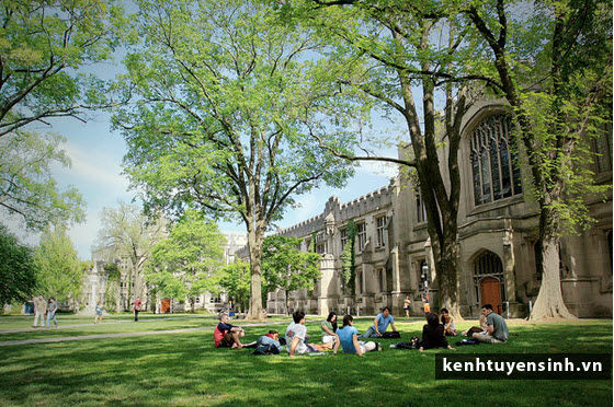 Chương trình liên kết quốc tế: Đại học Nông Lâm