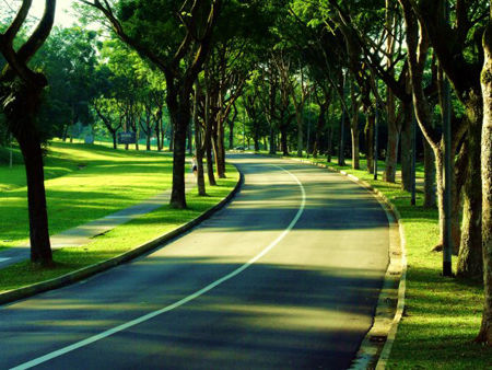 Ngắm các trường đại học Công lập hàng đầu Singapore