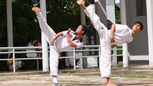 Trường Sĩ quan lục quân 1