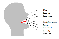 Kỹ năng phát âm trong tiếng anh