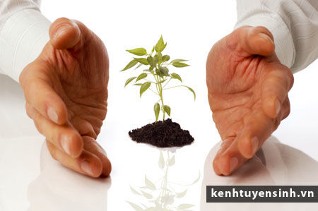 Khóa đầu tư vàng