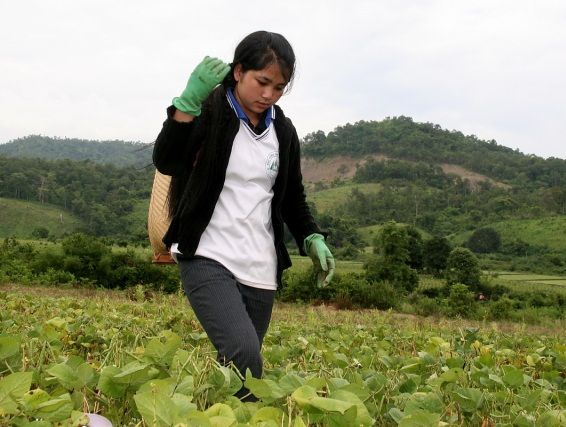 Cô bé mồ côi thành thủ khoa đại học