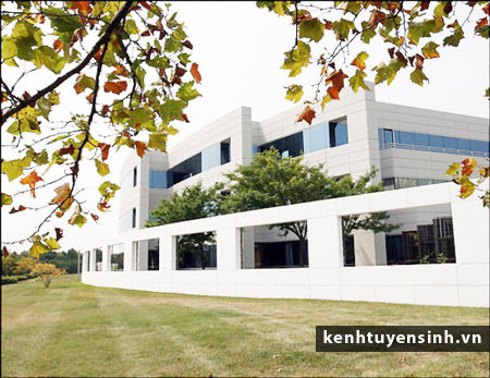 Viện Đại học Maryland