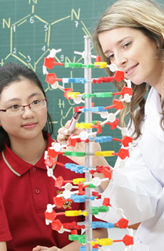 Chương Trình Đào Tạo của trường quốc tế Việt Úc