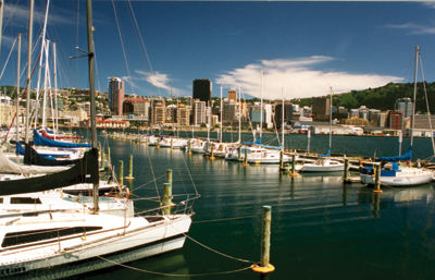 Cuộc sống tại Wellington