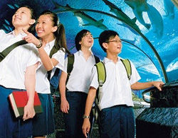 Tuyển sinh du học hè Lion Island 2011 đợt 2