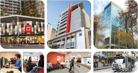 Học bổng du học Úc - Vào đại học thuận lợi hơn bao giờ hết