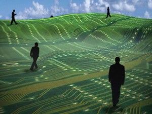 Chuyên gia Quản trị Mạng NIIT