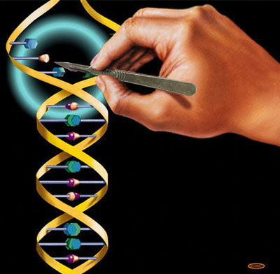 Tuyển sinh 2011, cấu trúc đề thi môn Sinh học