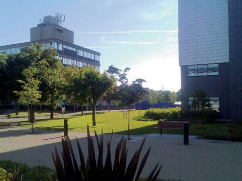 Trường Đại học Brunel